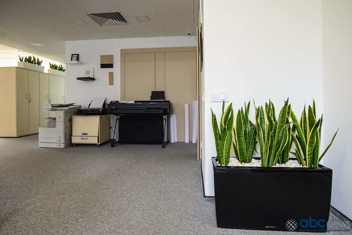 Офис ENSO: как рабочее пространство повышает креативность сотрудников (Фото)