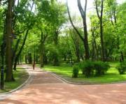 В Соломенском районе реконструируют парк