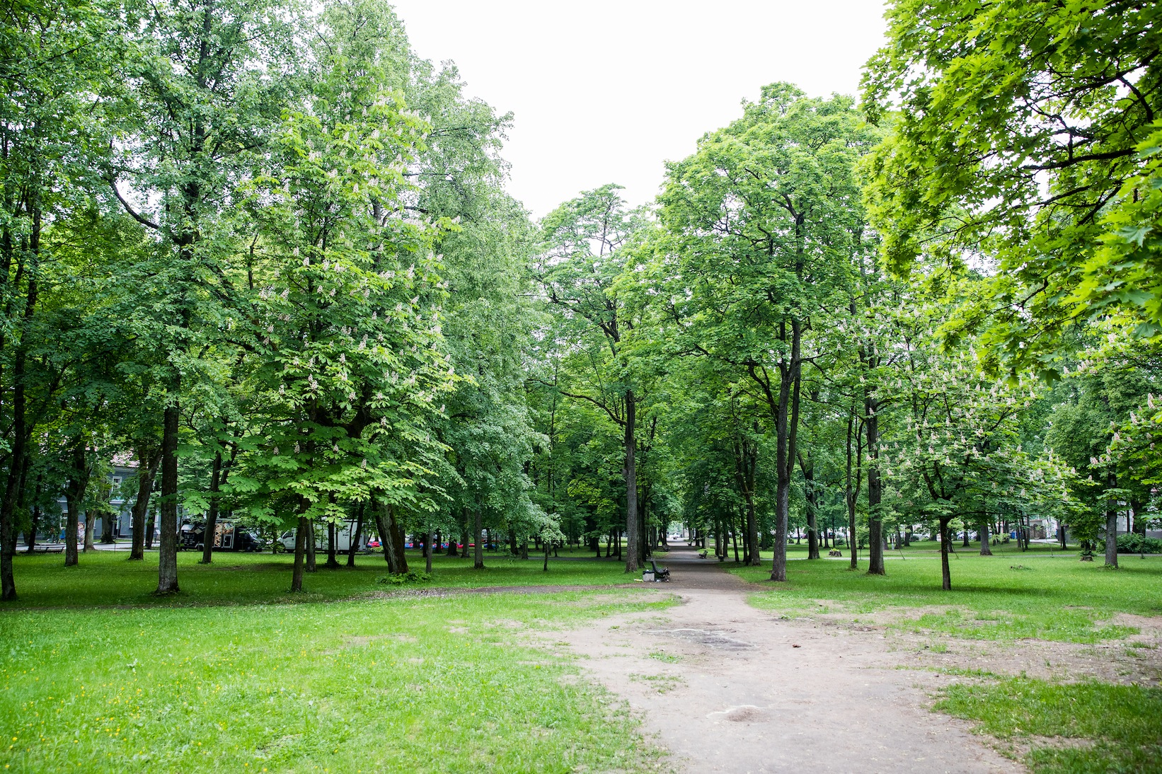 Как выглядит крупнейший в Балтии Техпарк Sapiegos в Вильнюсе (Фото)