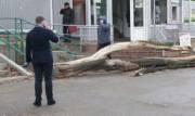 Ураган в Киеве: в центре столицы ветром снесло крышу, упавшее дерево травмировало человека