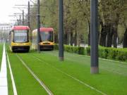 На трамвайных путях предлагают размещать зеленые насаждения, чтобы не допускать заезд на них автомобилей