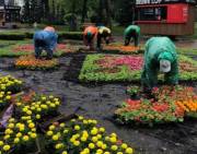 В парке «Победа» высадили 5 тысяч цветов