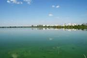 В Киеве появится ландшафтный заказник «Озеро Тягле»