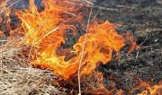 Киевляне начали жечь траву и загрязнять воздух