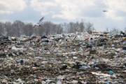 Начался новый этап работ на полигоне твердых бытовых отходов в селе Подгорцы