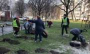 Киевляне просят восстановить благоустройство после демонтажа шин во дворах
